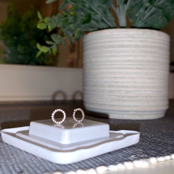 Circled Earrings - Picture 1 of 1